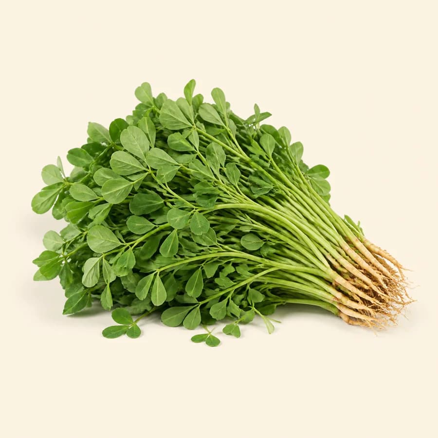 Fenugreek (Methi)