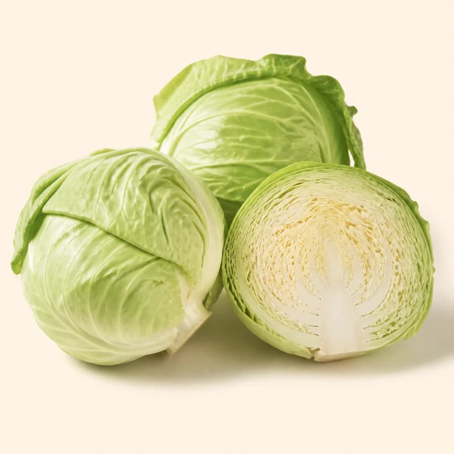 بند گوبھی