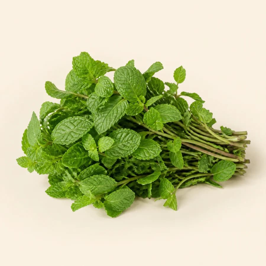 Mint (Podina)